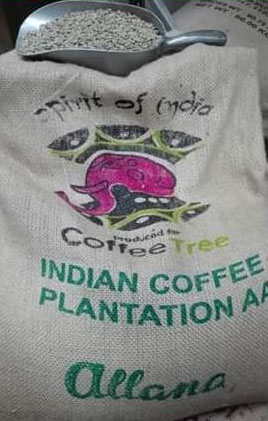 caffe-arabica-india-plantation-aa